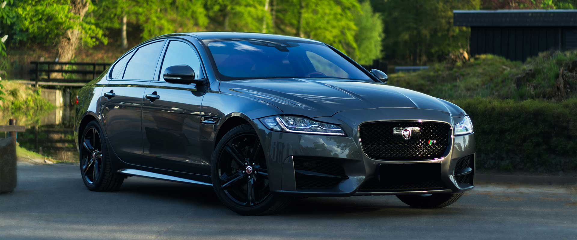 Jaguar in Universal City, TX near Universal City, TX